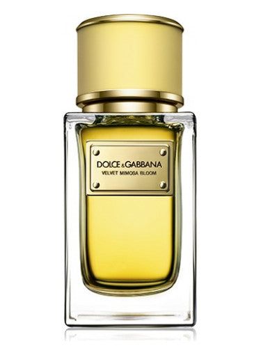 Dolce and Gabbana Velvet Mimosa Bloom for Women