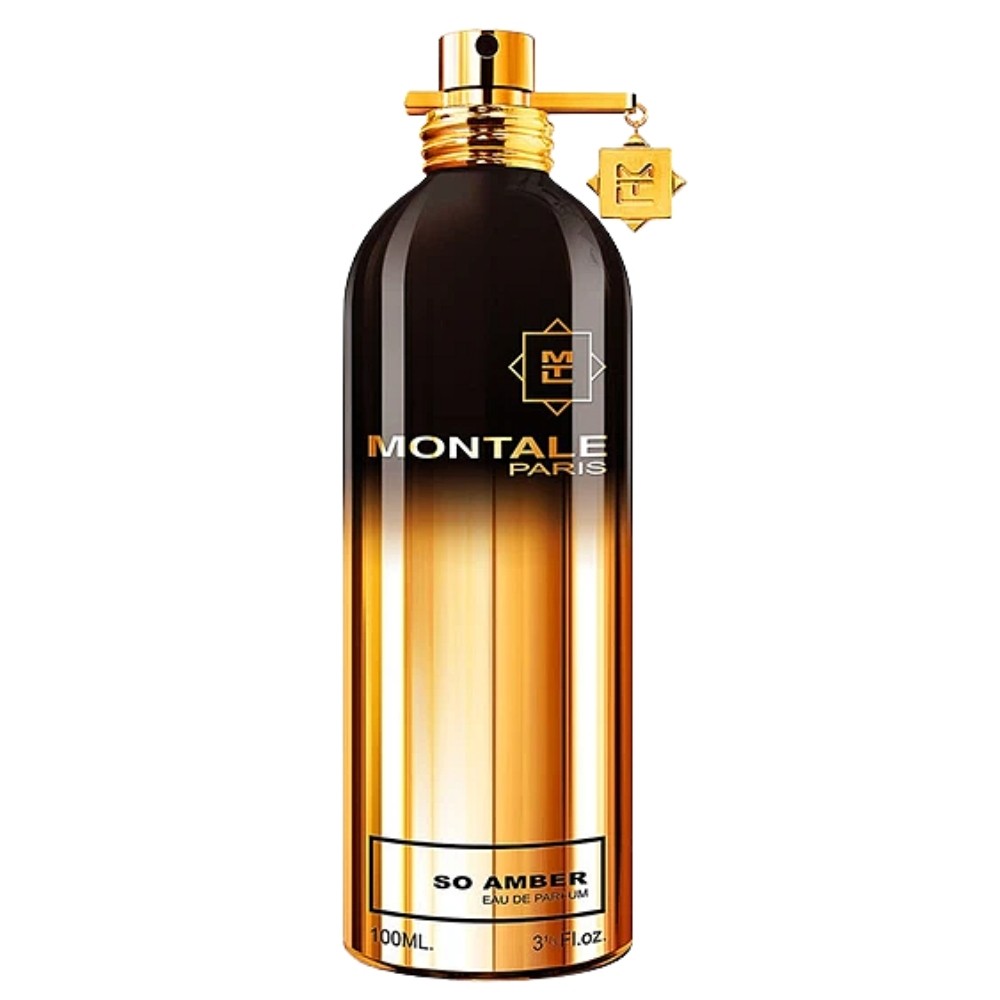 Montale So Amber for Unisex